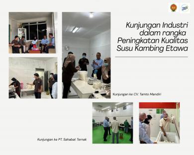 kunjungan-industri-dorong-peningkatan-kualitas-produksi-susu-kambing-etawa-di-sleman